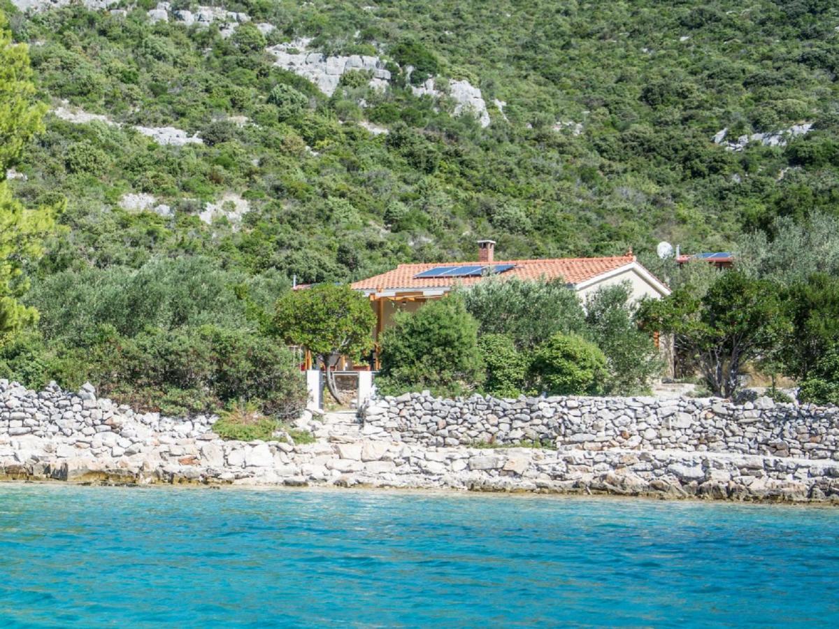 House Divna Villa Kraj  Exteriör bild